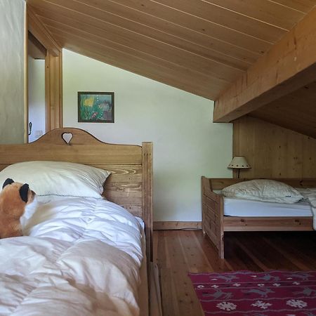 Thendia Montblanc Βίλα Les Houches Εξωτερικό φωτογραφία